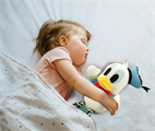 CLEMENTONI- DONALD DUCK PELUCHE PRIME ATTIVITA