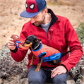MARVEL SPIDER-MAN ANELLO GIOCO DA MASTICARE PER CANE