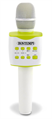 BONTEMPI MICROFONO WIRELESS CON CUSTODIA E ALTOPARLANTE KARAOKE