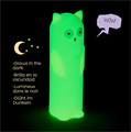 ASTUCCIO PORTATUTTO GLOW PET GUFO
