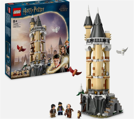 LEGO Harry Potter Guferia del Castello di Hogwarts