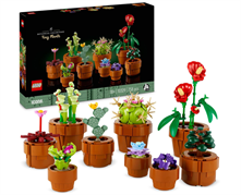 LEGO BOTANICALS PIANTINE