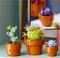 LEGO BOTANICALS PIANTINE
