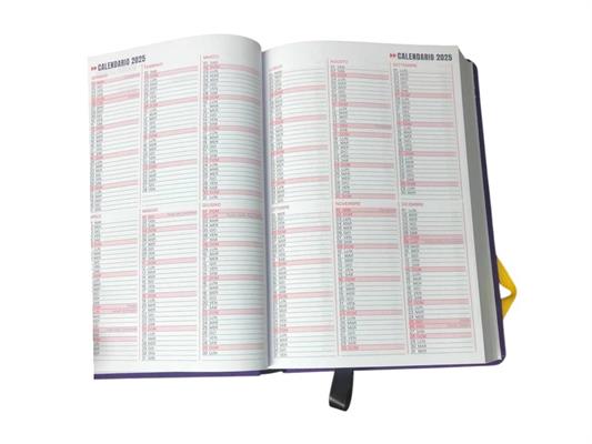 AGENDA UNIVERSITARIA 2026 SMEMORANDA SMEMO DA 13 MESI VIOLA