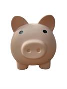 UN PICCOLO SALVADANAIO DI SWIPE PIGGY BANK