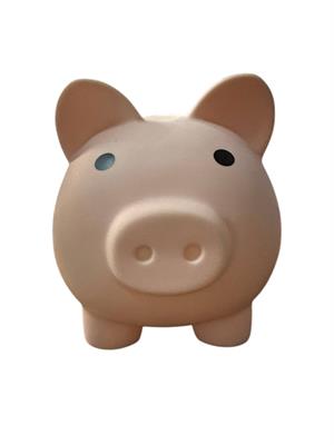 UN PICCOLO SALVADANAIO DI SWIPE PIGGY BANK