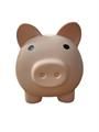 UN PICCOLO SALVADANAIO DI SWIPE PIGGY BANK