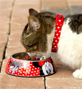CIOTOLA PER ANIMALI DISNEY MINNIE TAGLIA M